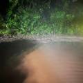 small_dae73bb4-08a6-4785-87b0-8046f4203cc0.jpg