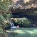 small_img_0641.jpg
