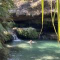 small_img_0642.jpg