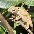 small_img_3580.jpg