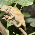small_img_3581.jpg