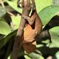 small_img_3582.jpg