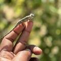 small_img_3584.jpg