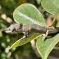 small_img_3585.jpg