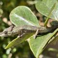 small_img_3586.jpg