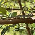 small_img_3587.jpg