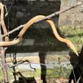 small_img_3589.jpg