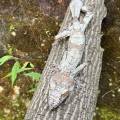 small_img_3591.jpg