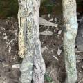 small_img_3592.jpg