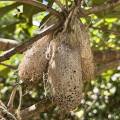 small_img_3601.jpg