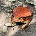 small_img_3603.jpg