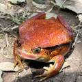 small_img_3604.jpg