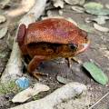 small_img_3605.jpg