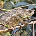small_img_3609.jpg