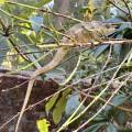 small_img_3610.jpg