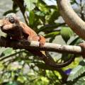 small_img_3611.jpg