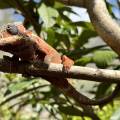 small_img_3613.jpg