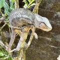 small_img_3614.jpg