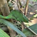 small_img_3615.jpg