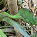 small_img_3616.jpg
