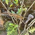 small_img_3617.jpg