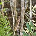 small_img_3618.jpg