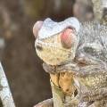 small_img_3619.jpg