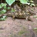 small_img_3620.jpg