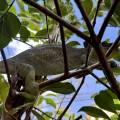 small_img_3621.jpg