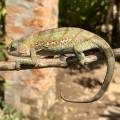 small_img_3622.jpg