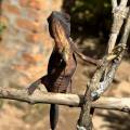 small_img_3623.jpg