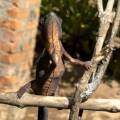 small_img_3624.jpg