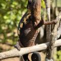 small_img_3626.jpg