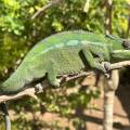 small_img_3627.jpg