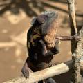 small_img_3628.jpg