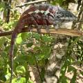 small_img_3629.jpg
