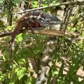 small_img_3630.jpg