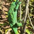 small_img_3631.jpg