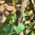 small_img_3633.jpg