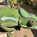 small_img_3636.jpg