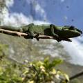 small_img_3637.jpg