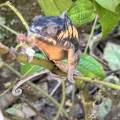 small_img_3638.jpg
