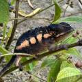 small_img_3639.jpg