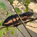 small_img_3640.jpg