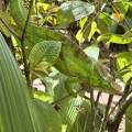 small_img_3641.jpg