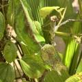 small_img_3642.jpg