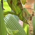 small_img_3645.jpg