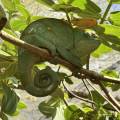 small_img_3646.jpg