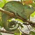 small_img_3647.jpg