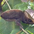 small_img_3648.jpg